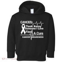 Cancer Took Away Someone I Love Toddler Hoodie thumb 0