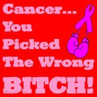 Cancer You Picked The Wrong Bitch Breast Cancer Santa Hat thumb 1