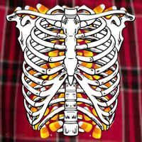Candy Corn Skeleton Hallween Costume Women's Flannel Plaid Pajama Pants thumb 2