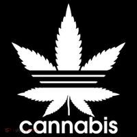 Cannabis Sports Logo Hoodie thumb 7