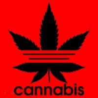 Cannabis Sports Logo Santa Hat thumb 1