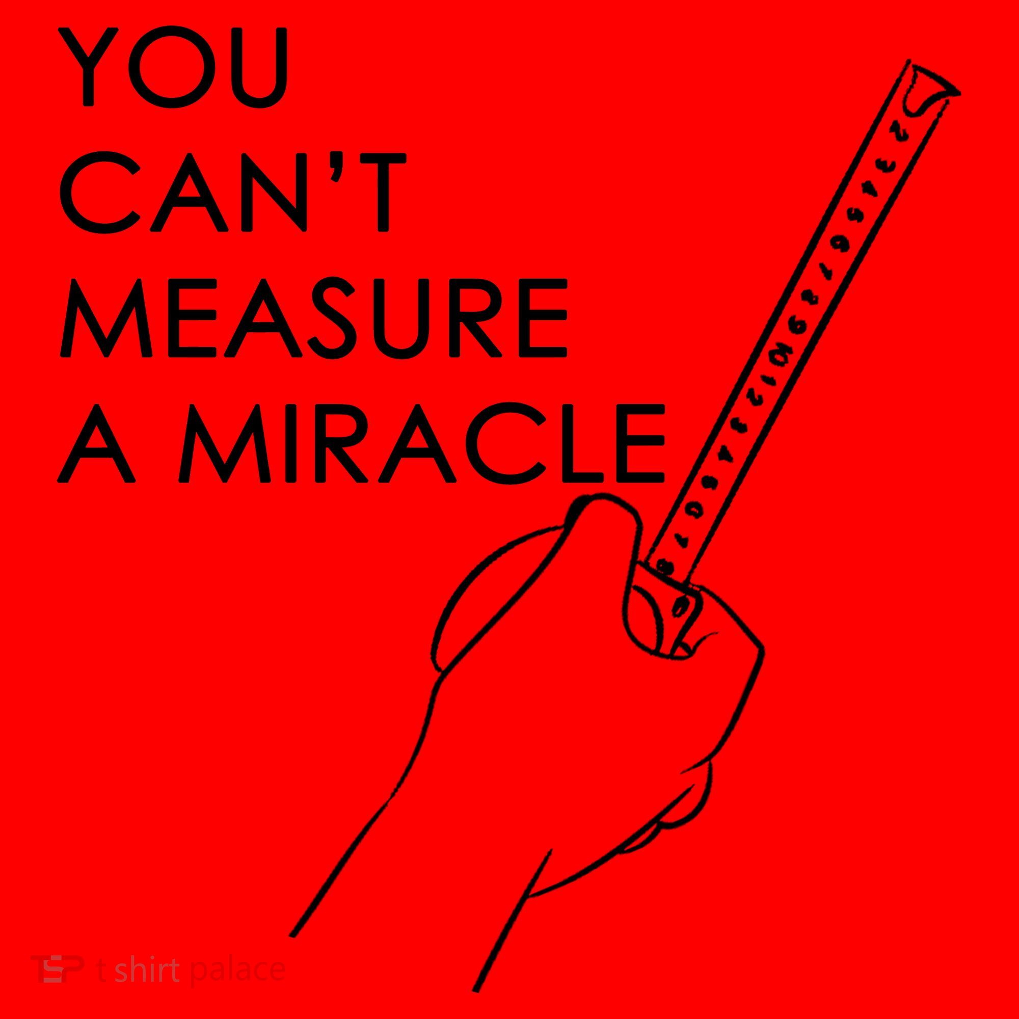 Can't Measure A Miracle Santa Hat