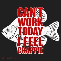 Can't Work Today I Feel Crappie Tumbler thumb 3