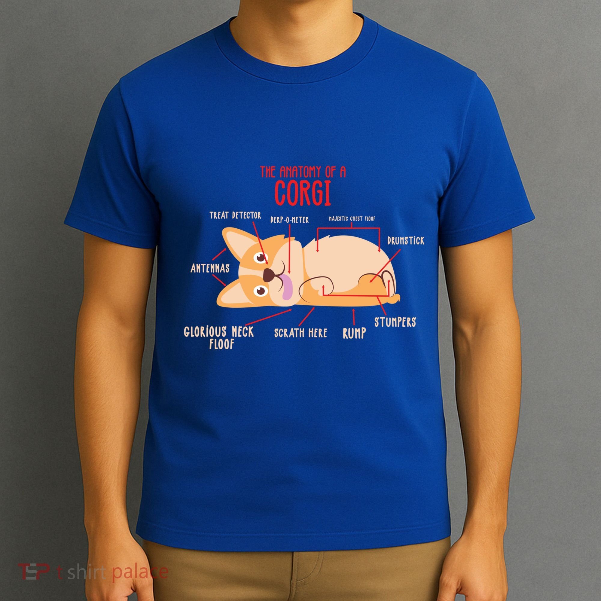 Corgi: Anatomy Of A Corgi Funny Dog Owner Gift T-Shirt