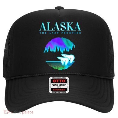 Cool Alaska Pair of Polar Bear with Aurora Snow Scene Hat