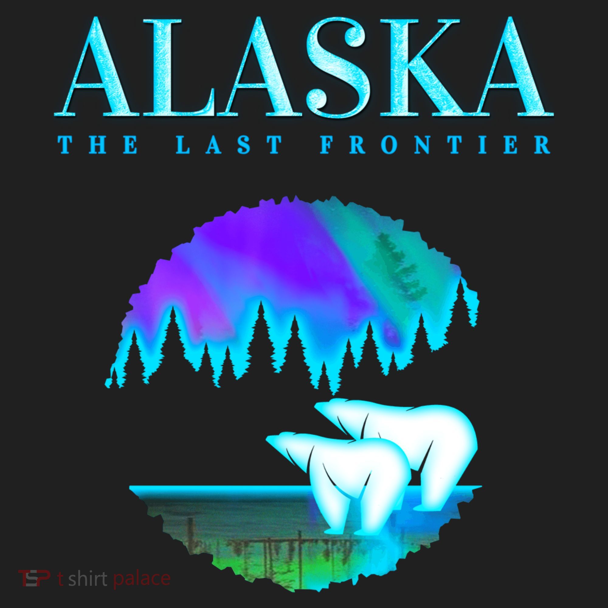 Cool Alaska Pair of Polar Bear with Aurora Snow Scene Golf Towel