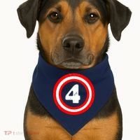 Captain 4th Birthday USA-Made Doggie Bandana thumb 1