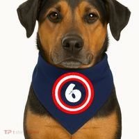 Captain 6th Birthday USA-Made Doggie Bandana thumb 1
