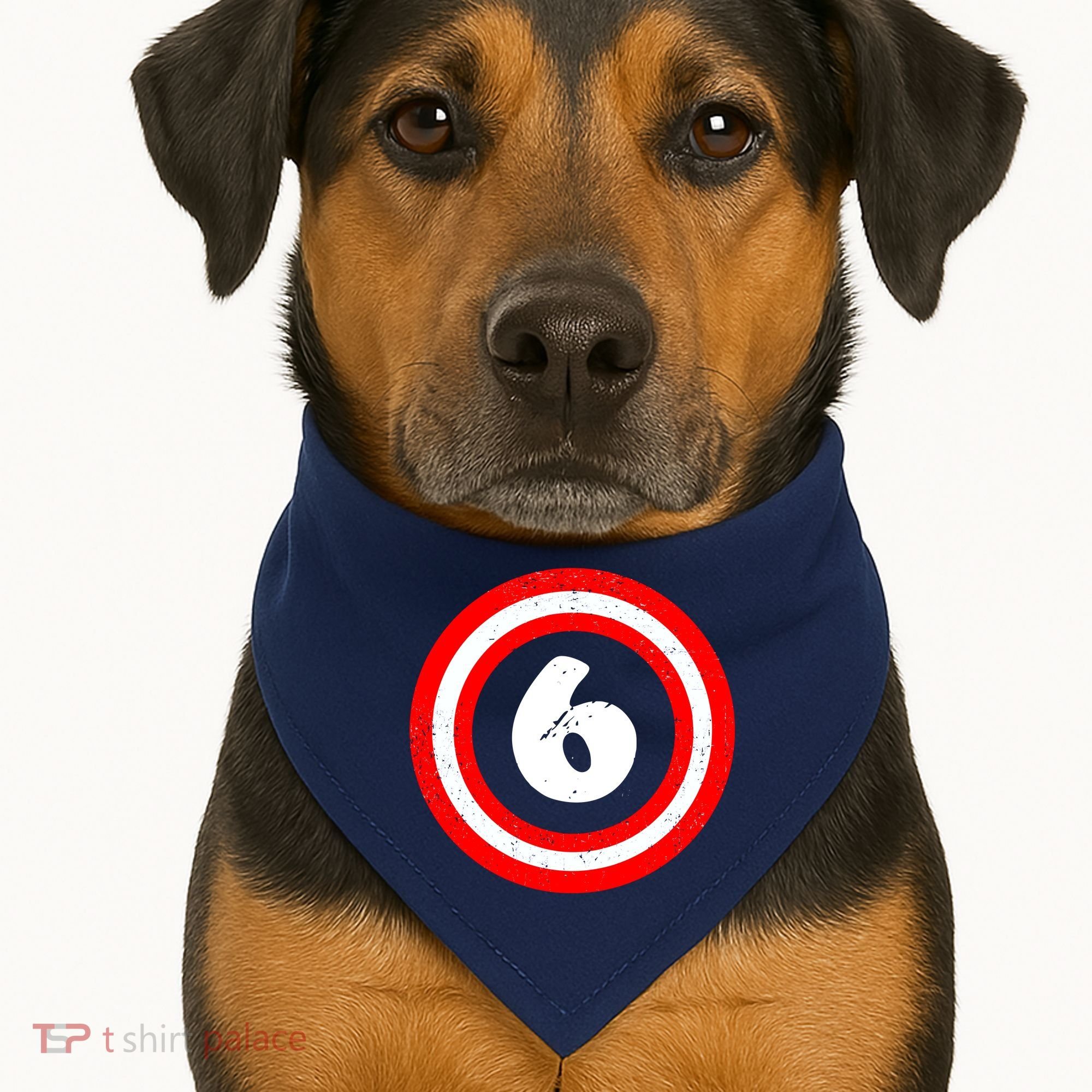 Captain 6th Birthday USA-Made Doggie Bandana