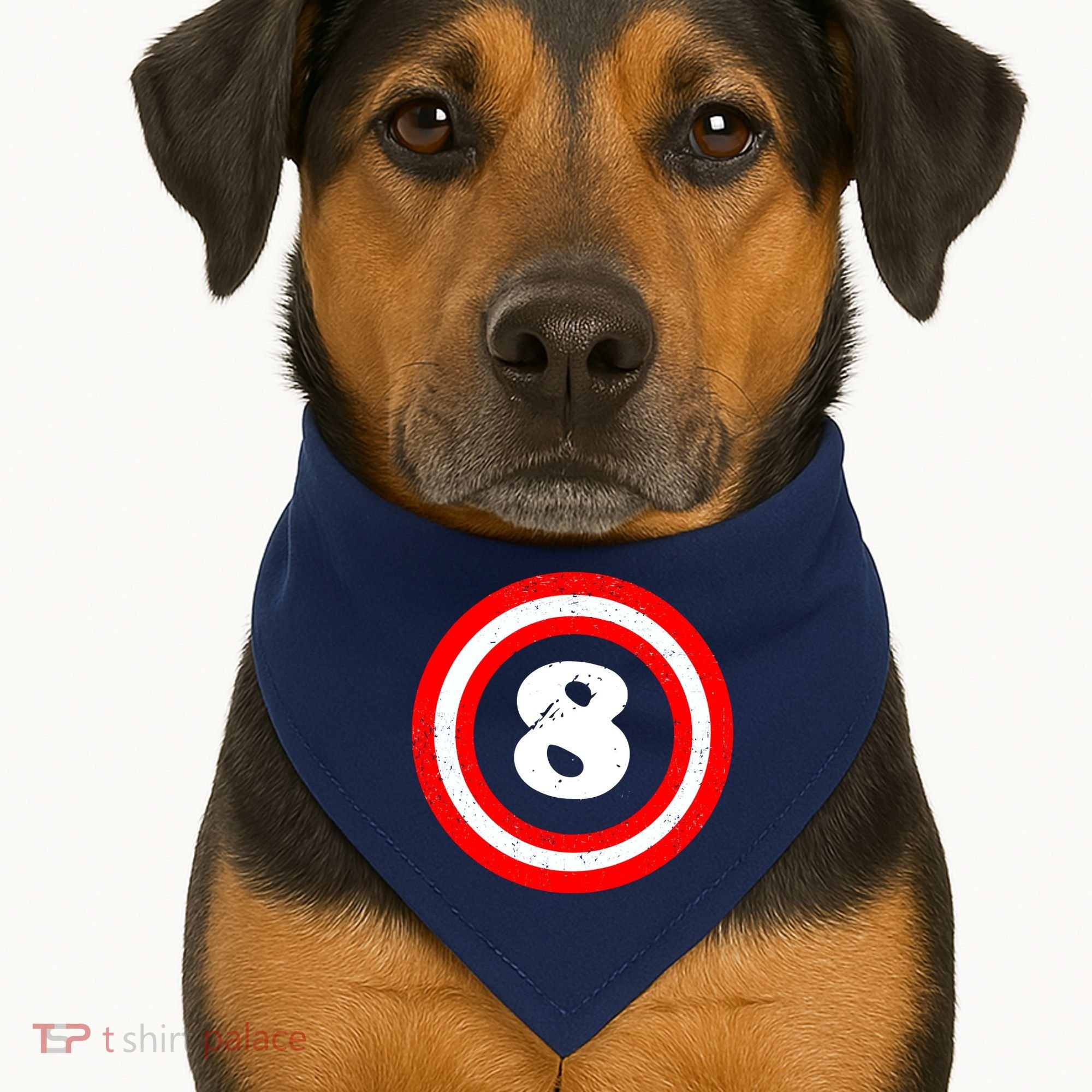 Captain 8th Birthday USA-Made Doggie Bandana