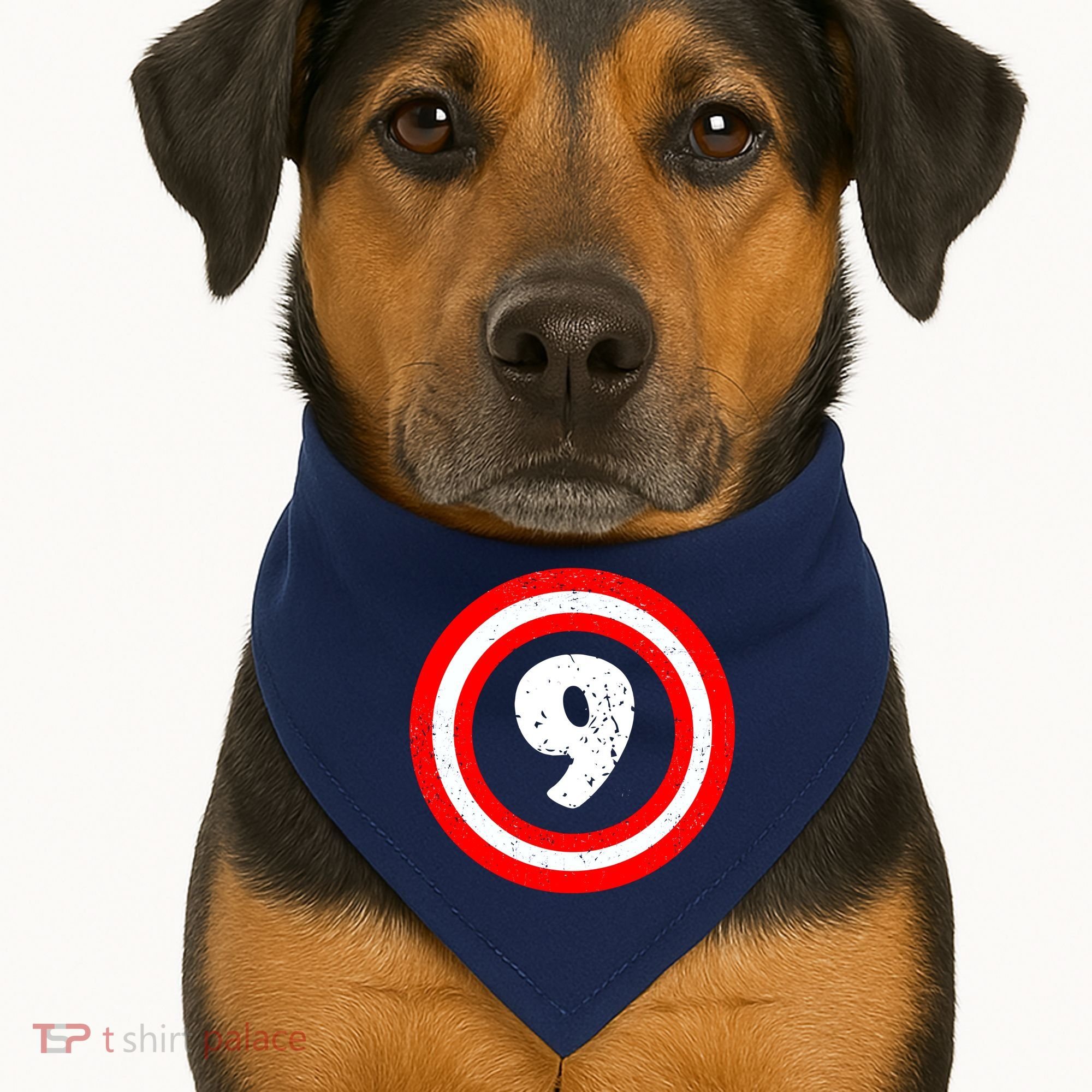 Captain 9th Birthday USA-Made Doggie Bandana
