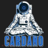 Cardano Mediating Yoga Astronaut Crypto Currency Beanie thumb 2