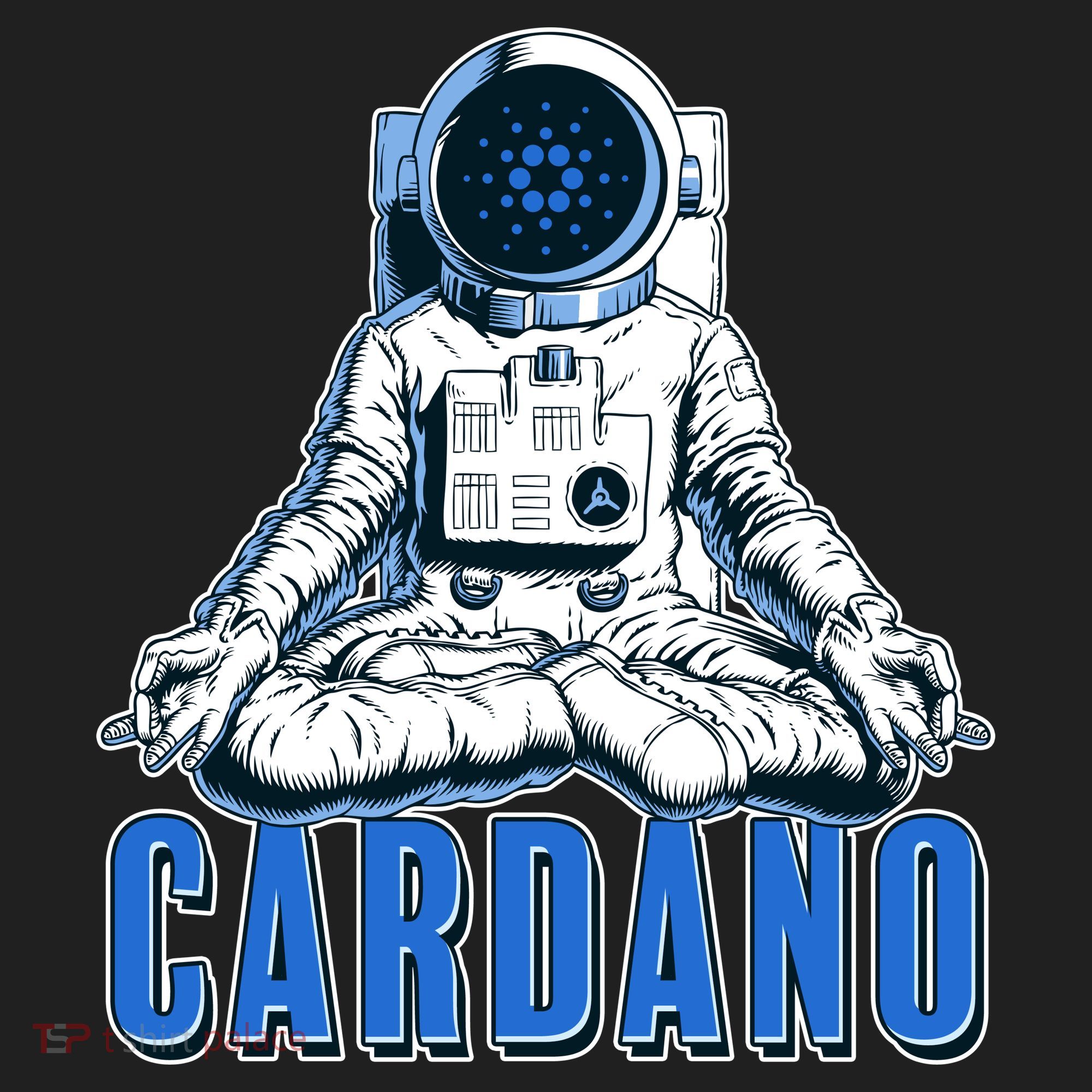 Cardano Mediating Yoga Astronaut Crypto Currency Beanie
