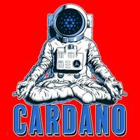 Cardano Mediating Yoga Astronaut Crypto Currency Santa Hat thumb 1