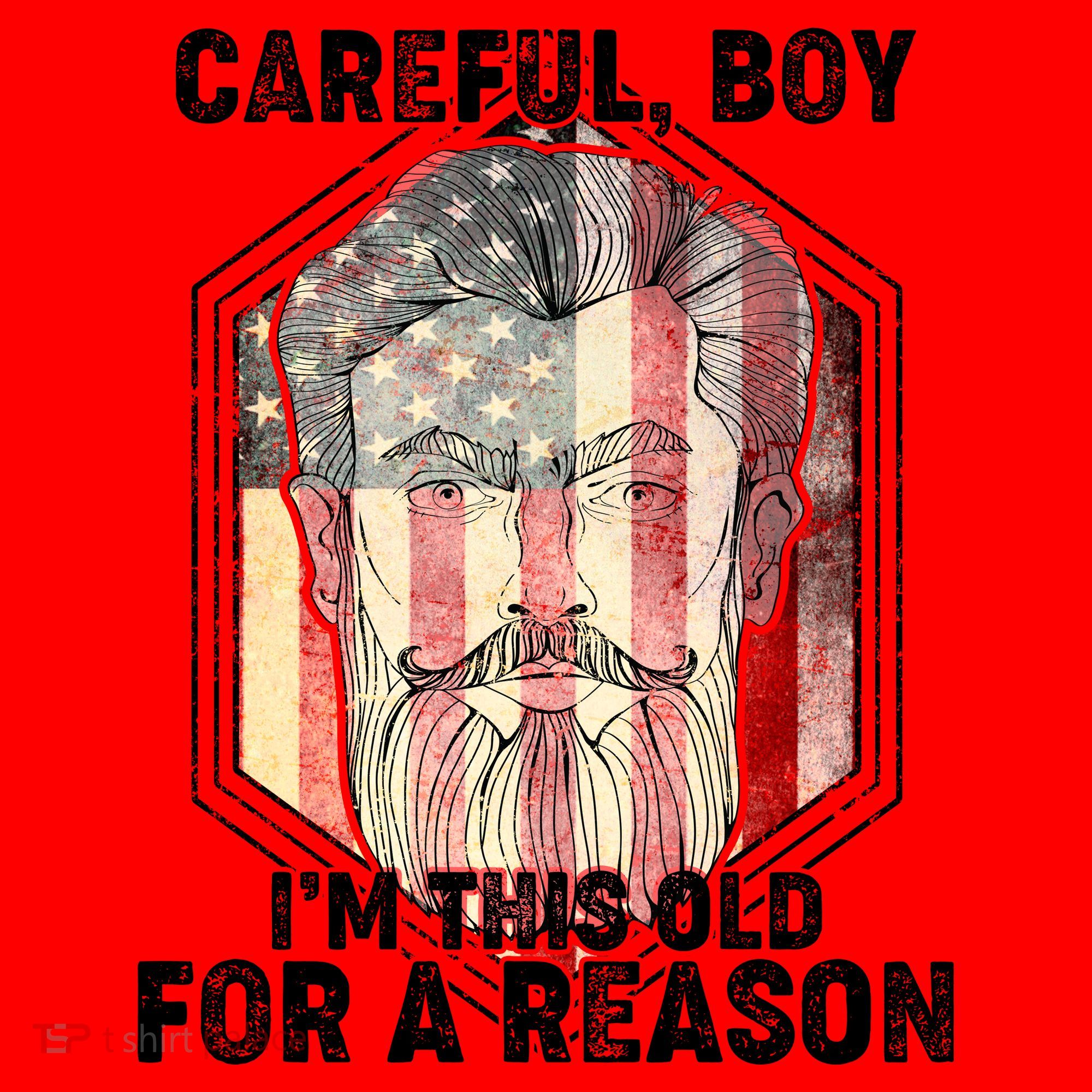 Careful Boy I'm This Old For A Reason Santa Hat
