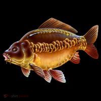 Carp Ornament thumb 1