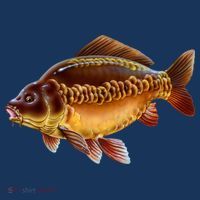 Carp T-Shirt thumb 7