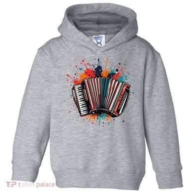 Colorful Accordion Splash Toddler Hoodie