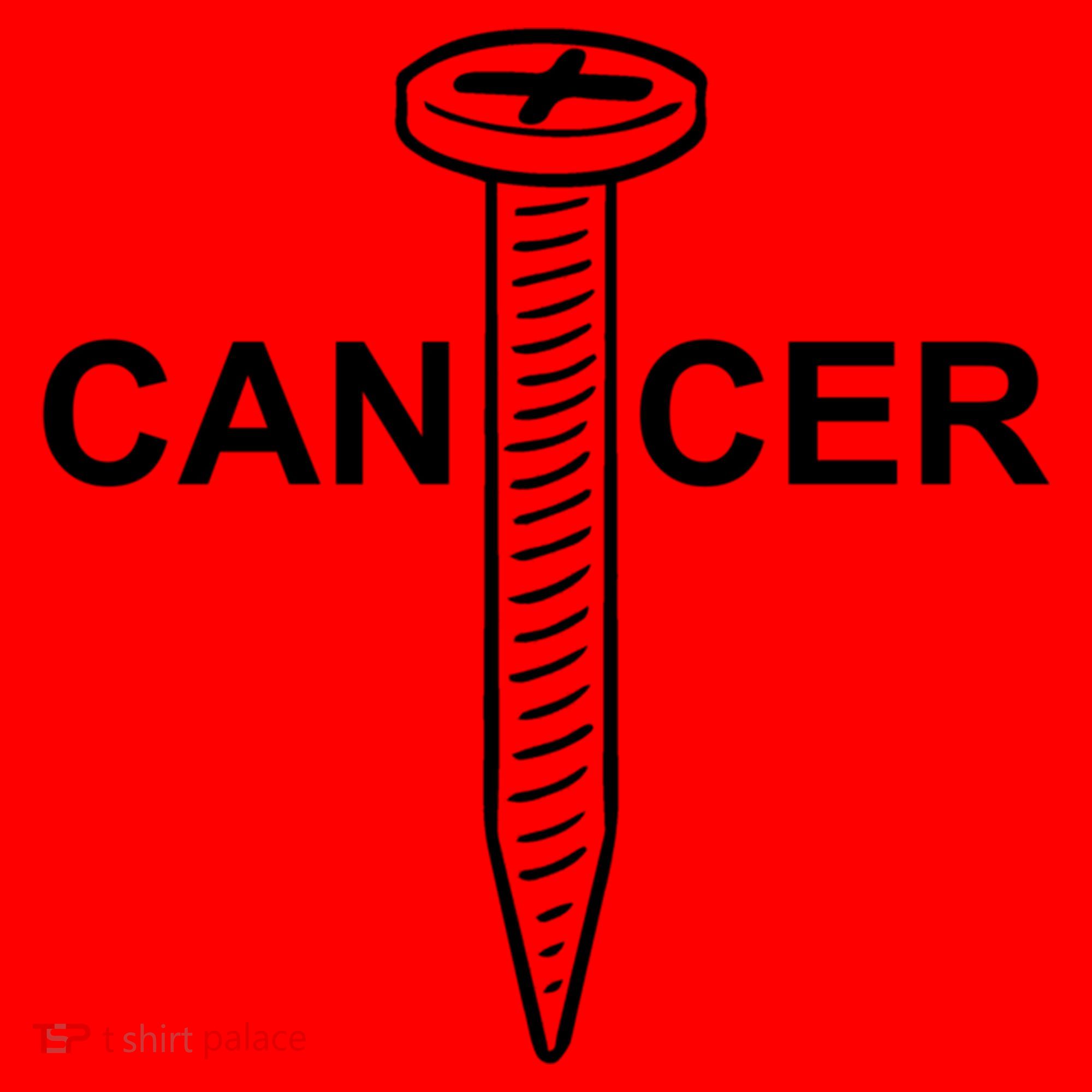 Cancer Awareness Screw Cancer Cute Gift Santa Hat