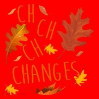 Changes Autumn Season Santa Hat thumb 1