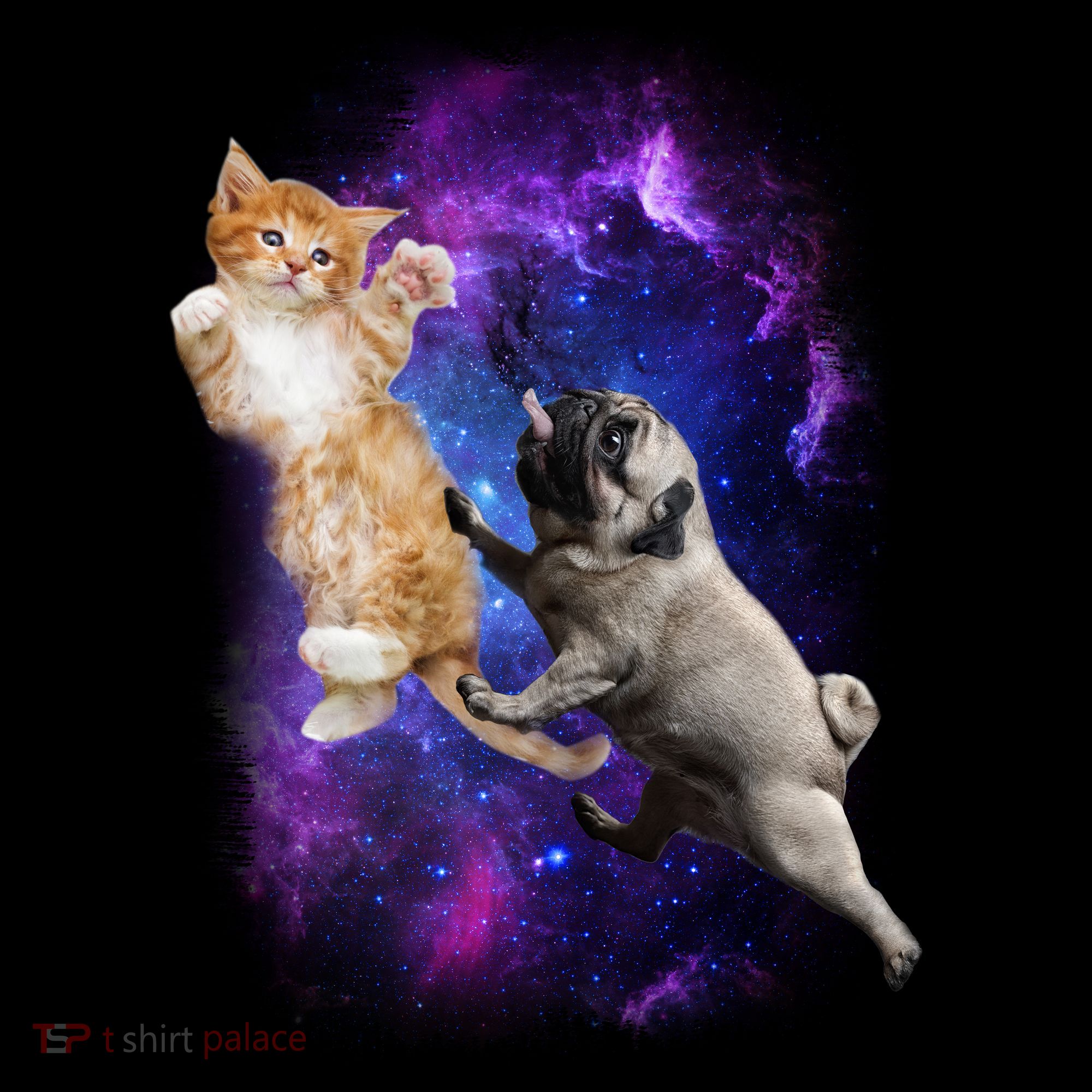 Cat And Pug In Space Polo