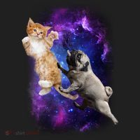 Cat And Pug In Space Tumbler thumb 3