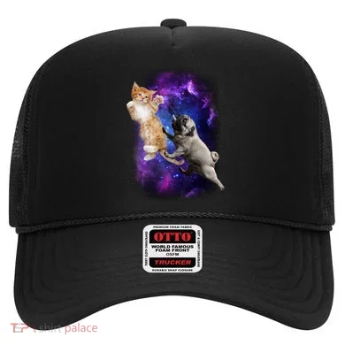 Cat And Pug In Space Hat