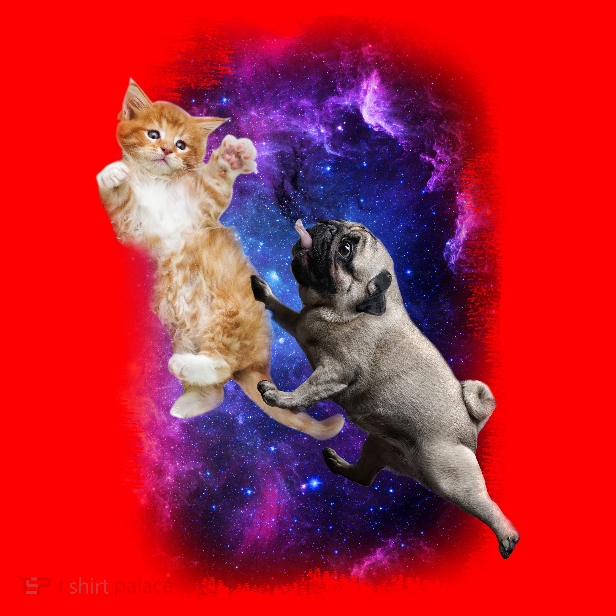Cat And Pug In Space Santa Hat