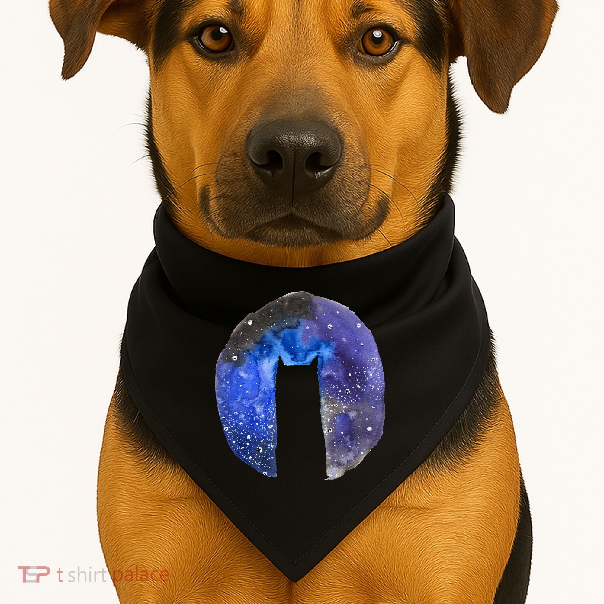 Cat Galaxy USA-Made Doggie Bandana