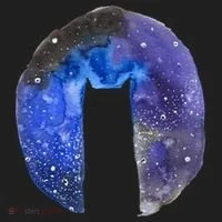 Cat Galaxy Tumbler thumb 3