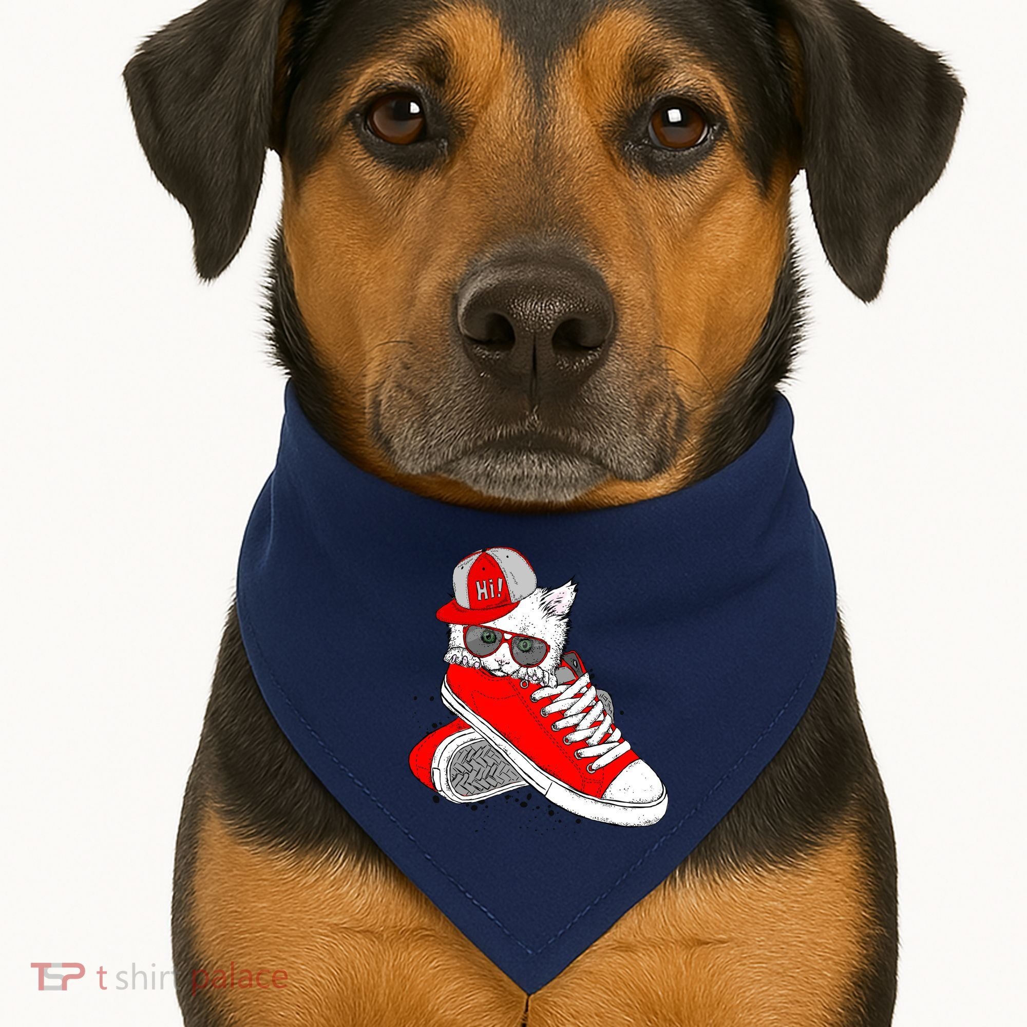 Cat In Red Sneakers USA-Made Doggie Bandana