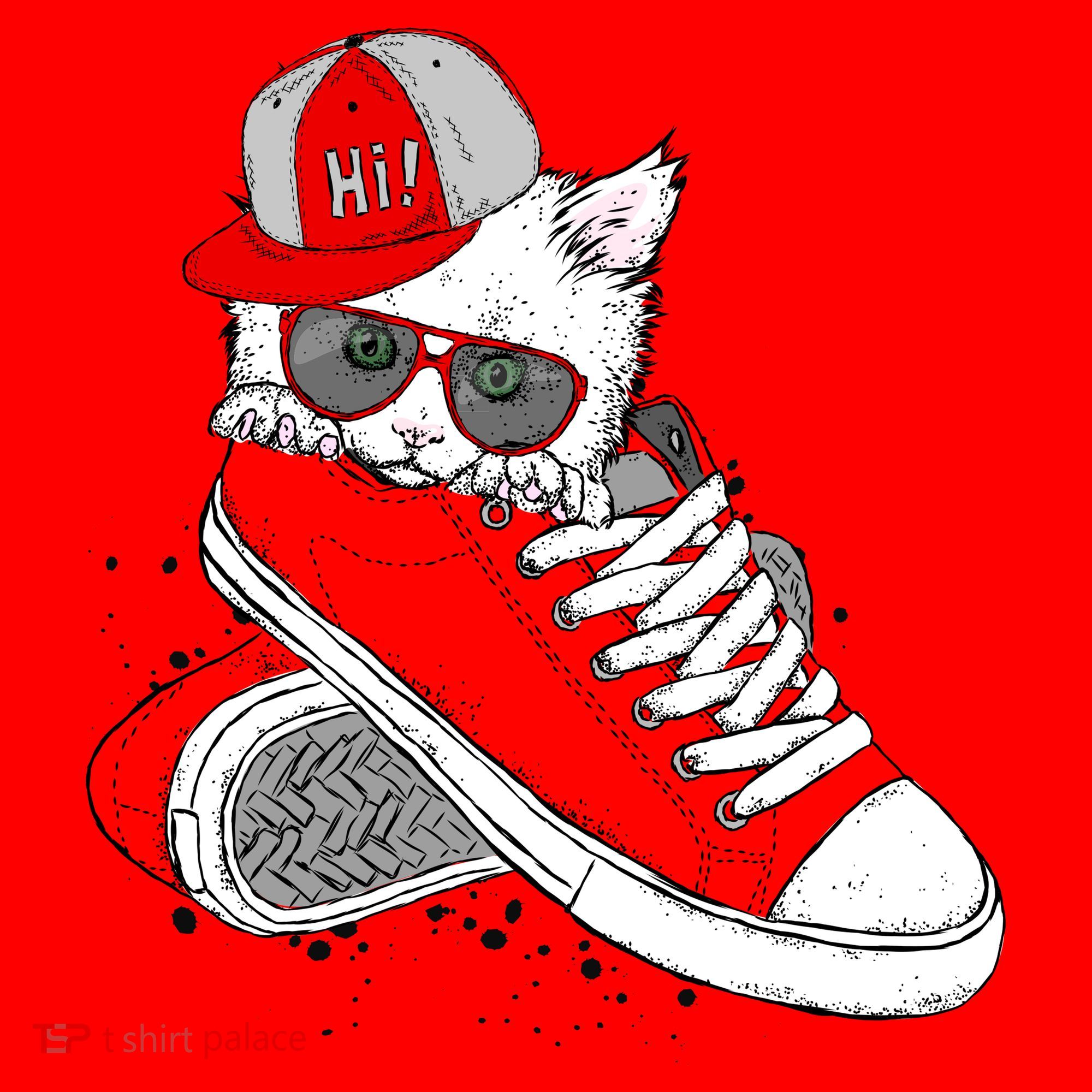 Cat In Red Sneakers Santa Hat