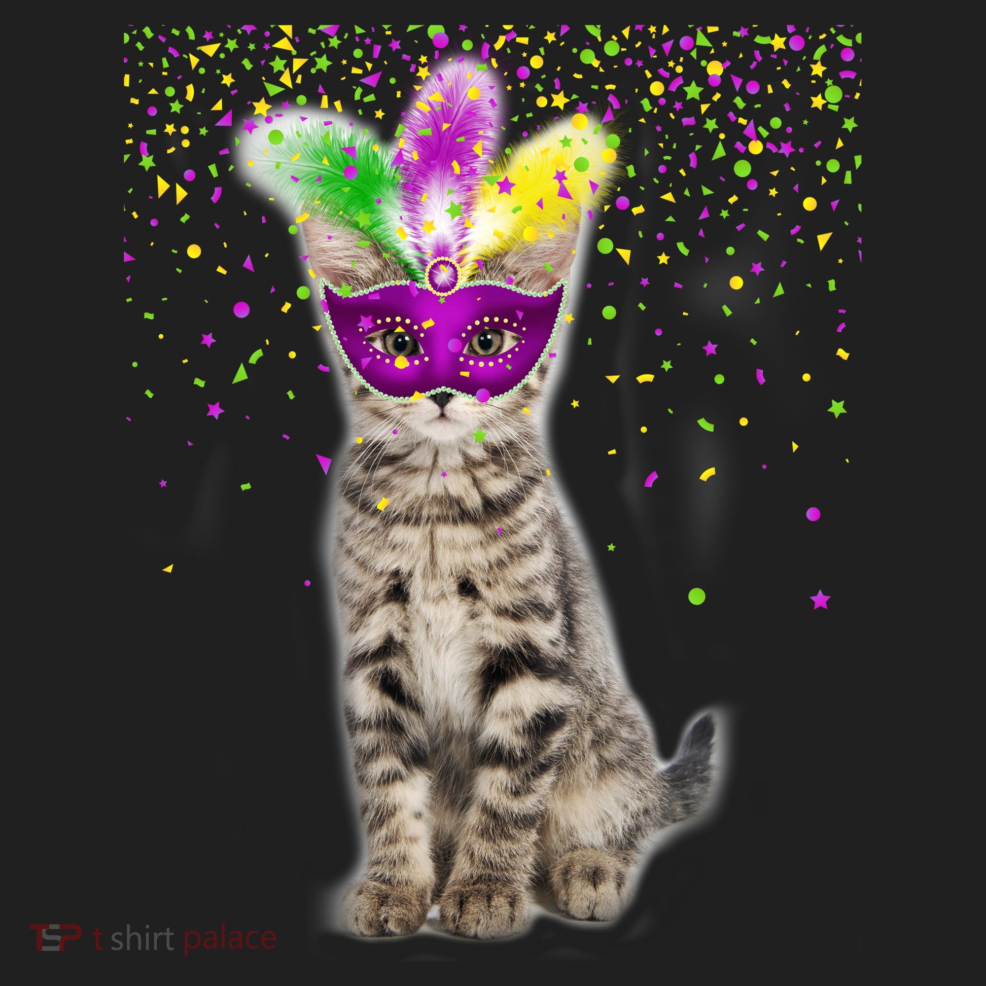 Cat Mardi Gras Mask and Beads Beanie
