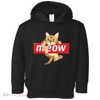 Cat Meow Supreme Toddler Hoodie thumb 0