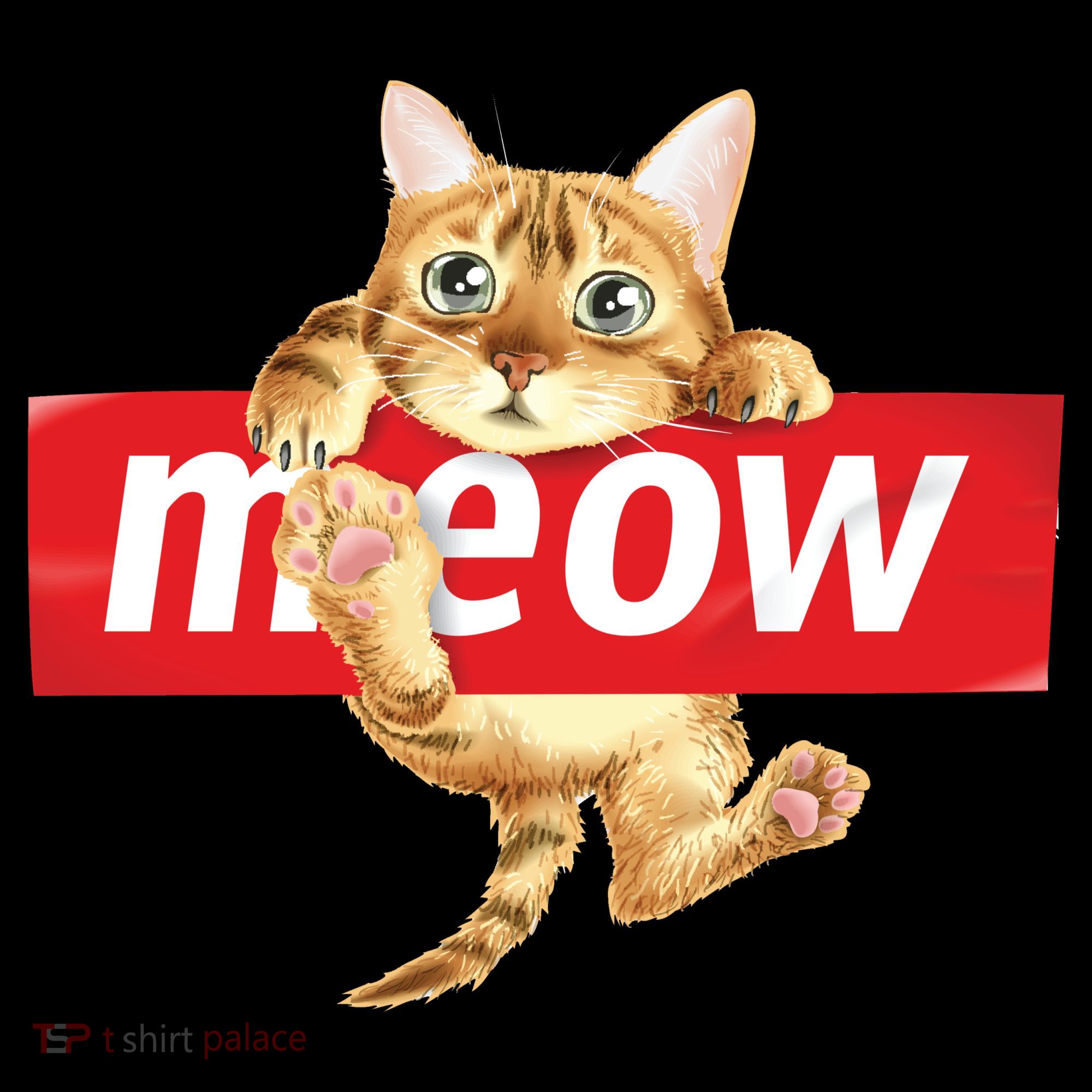 Cat Meow Supreme Kids T-Shirt