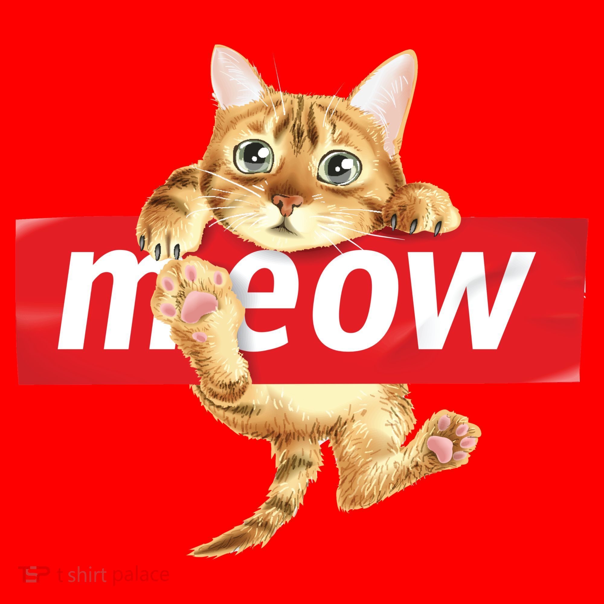 Cat Meow Supreme Santa Hat