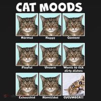 Cat Moods Funny Meme Doggie Tank thumb 4