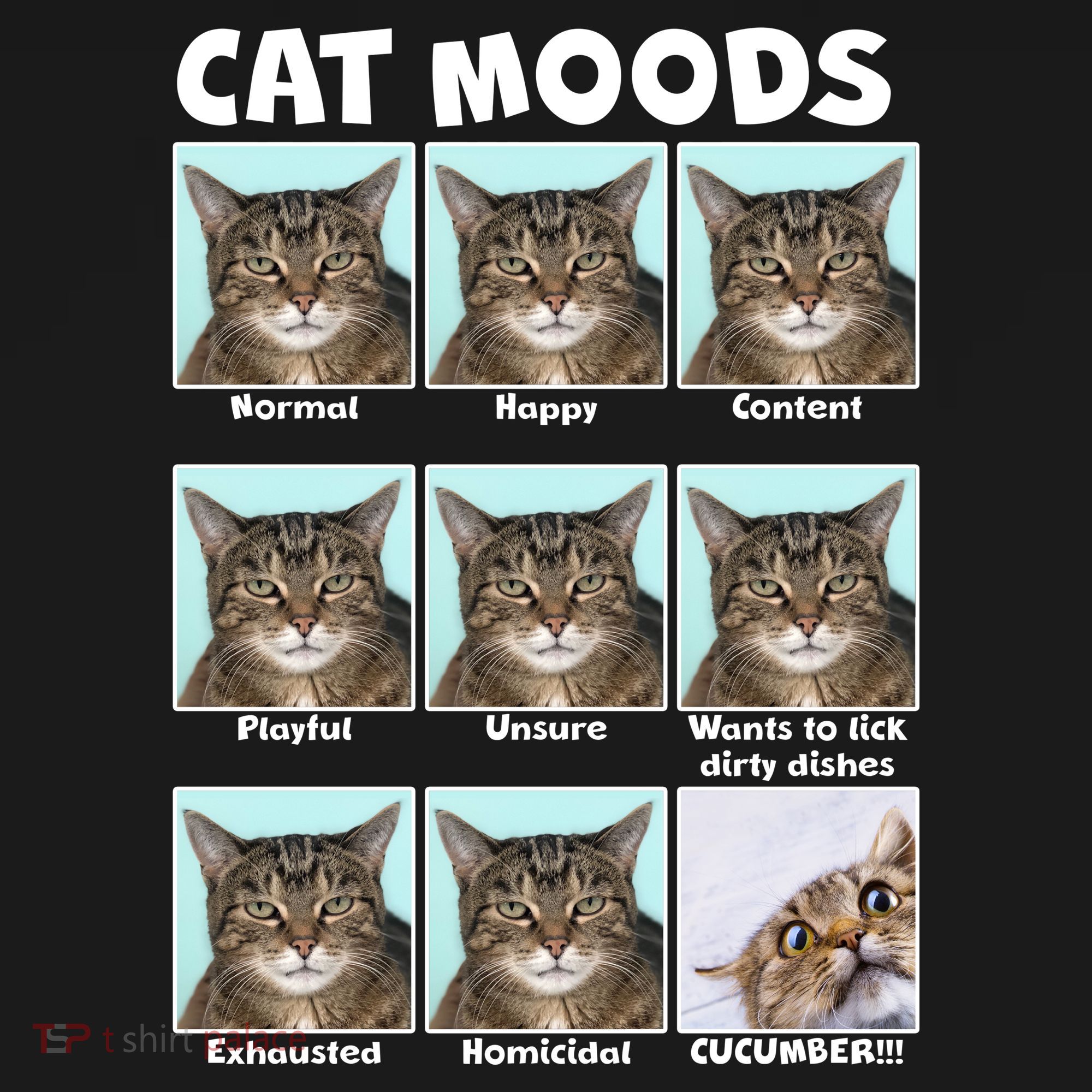 Cat Moods Funny Meme Doggie Tank