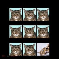 Cat Moods Funny Meme Coffee Mug thumb 5
