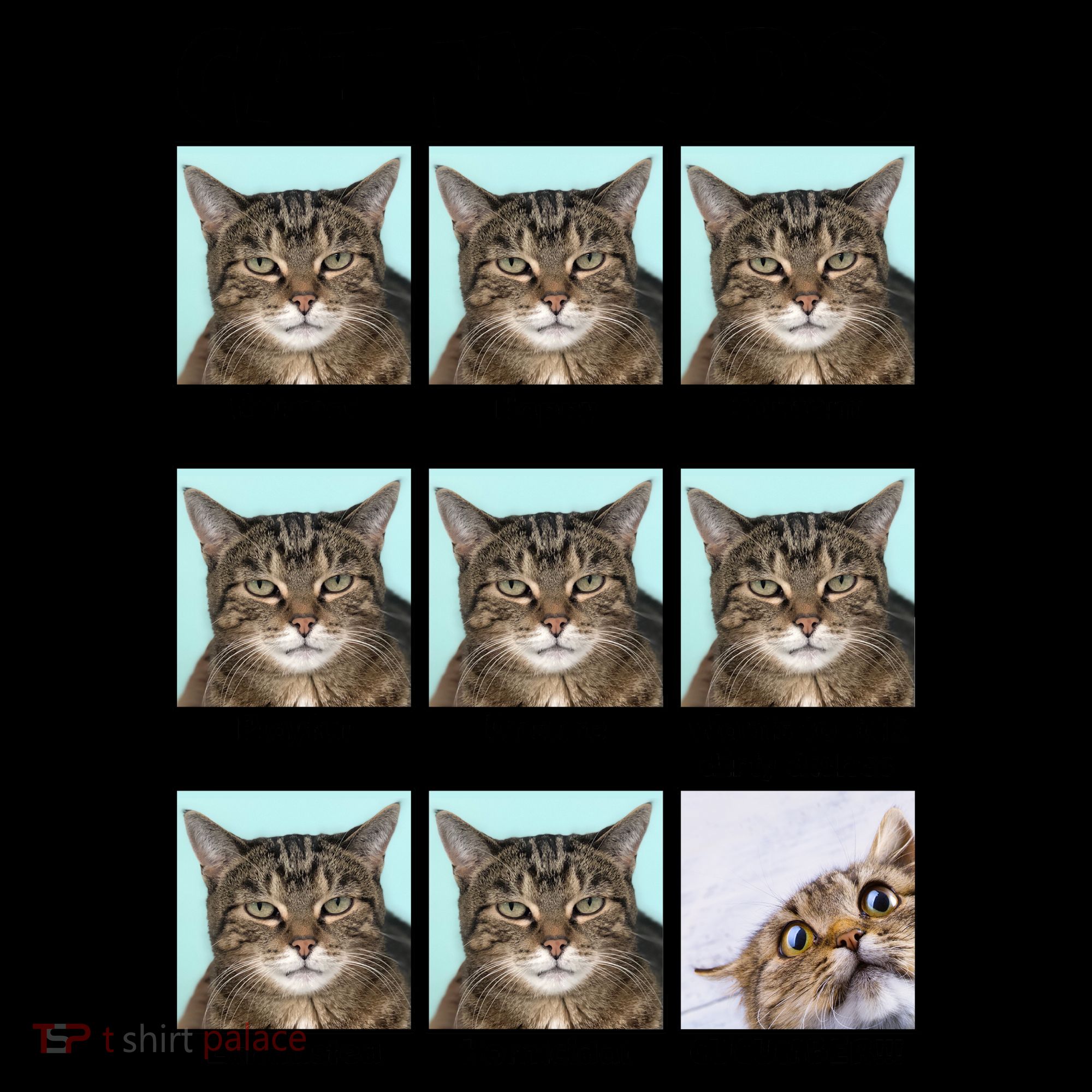 Cat Moods Funny Meme Coffee Mug