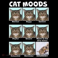 Cat Moods Funny Meme Women's Hoodie thumb 2