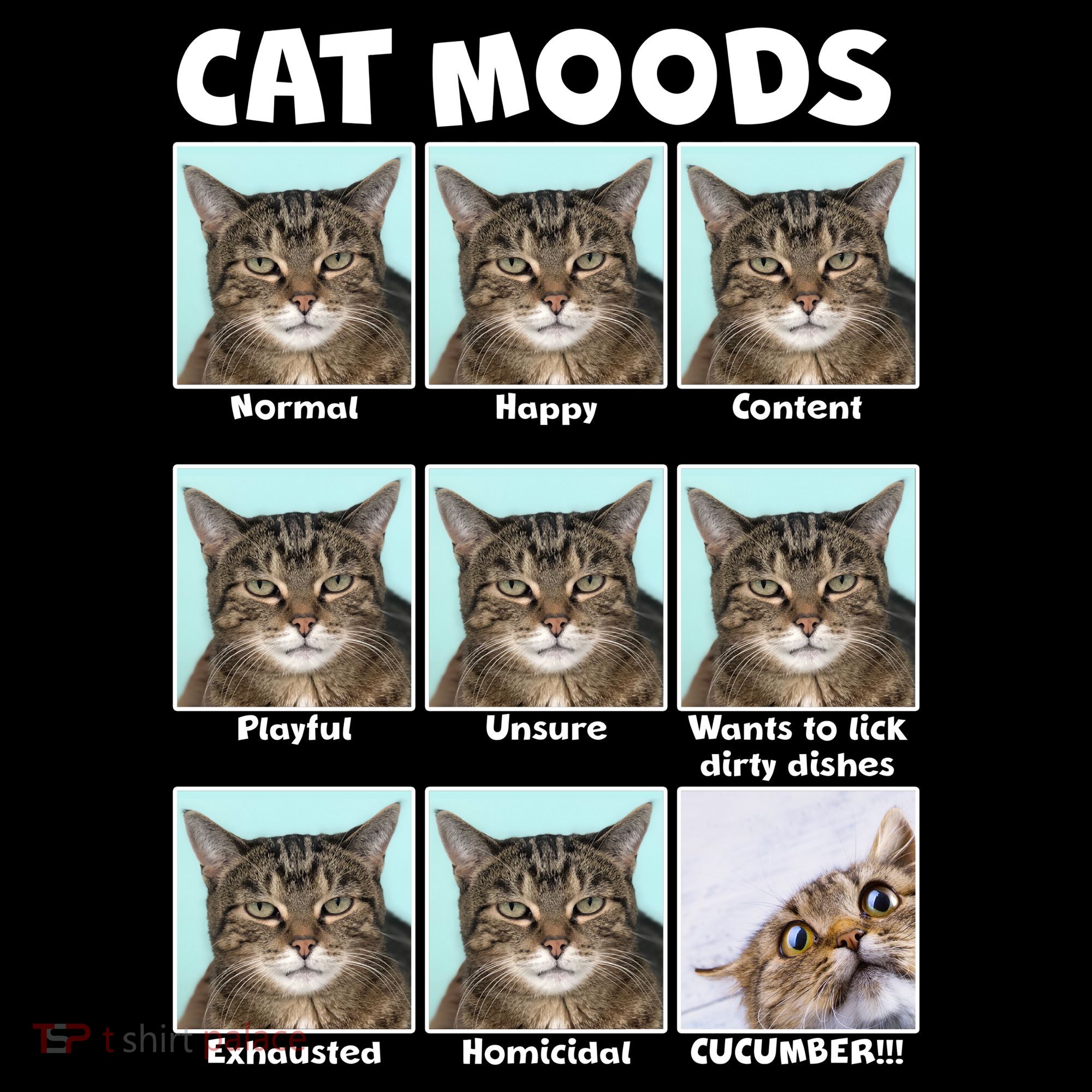 Cat Moods Funny Meme Women's Hoodie