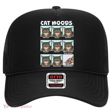 Cat Moods Funny Meme Hat