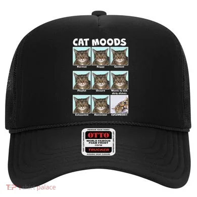 Cat Moods Funny Meme Hat