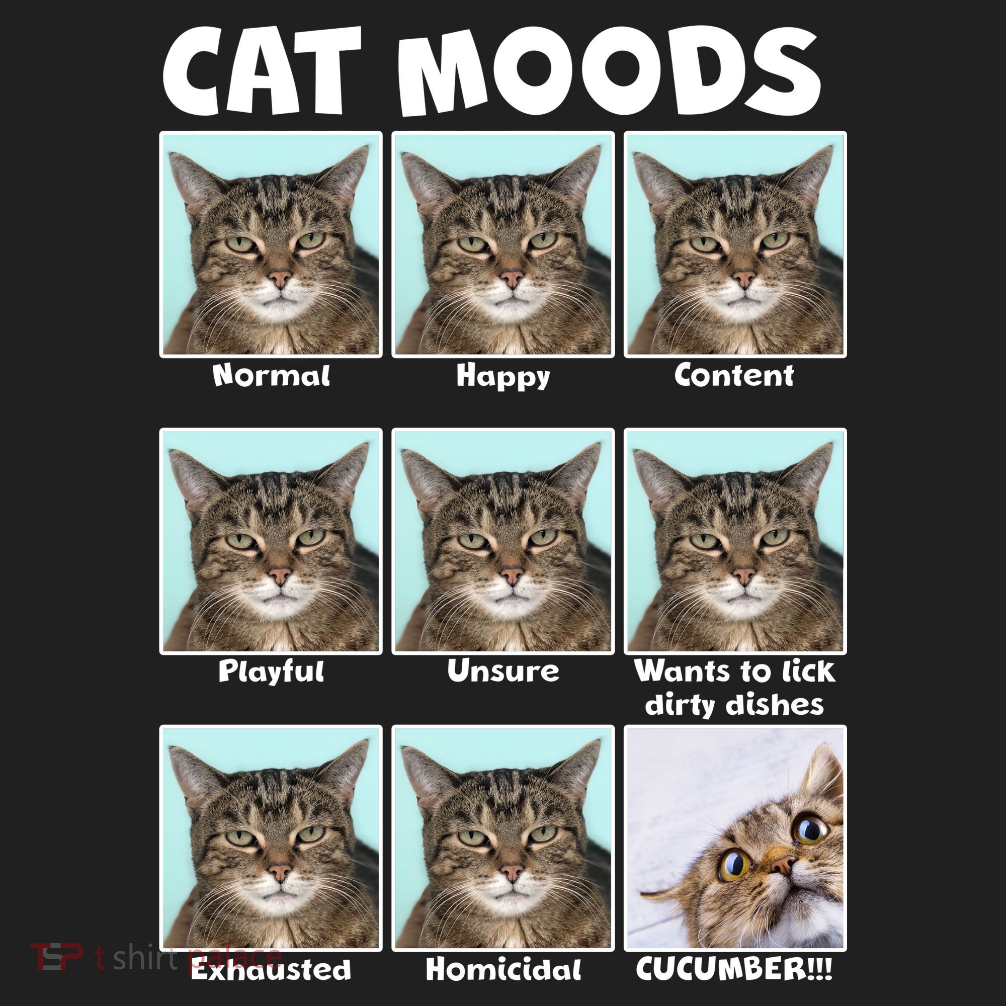Cat Moods Funny Meme Hat