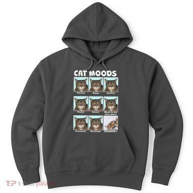 Cat Moods Funny Meme Hoodie