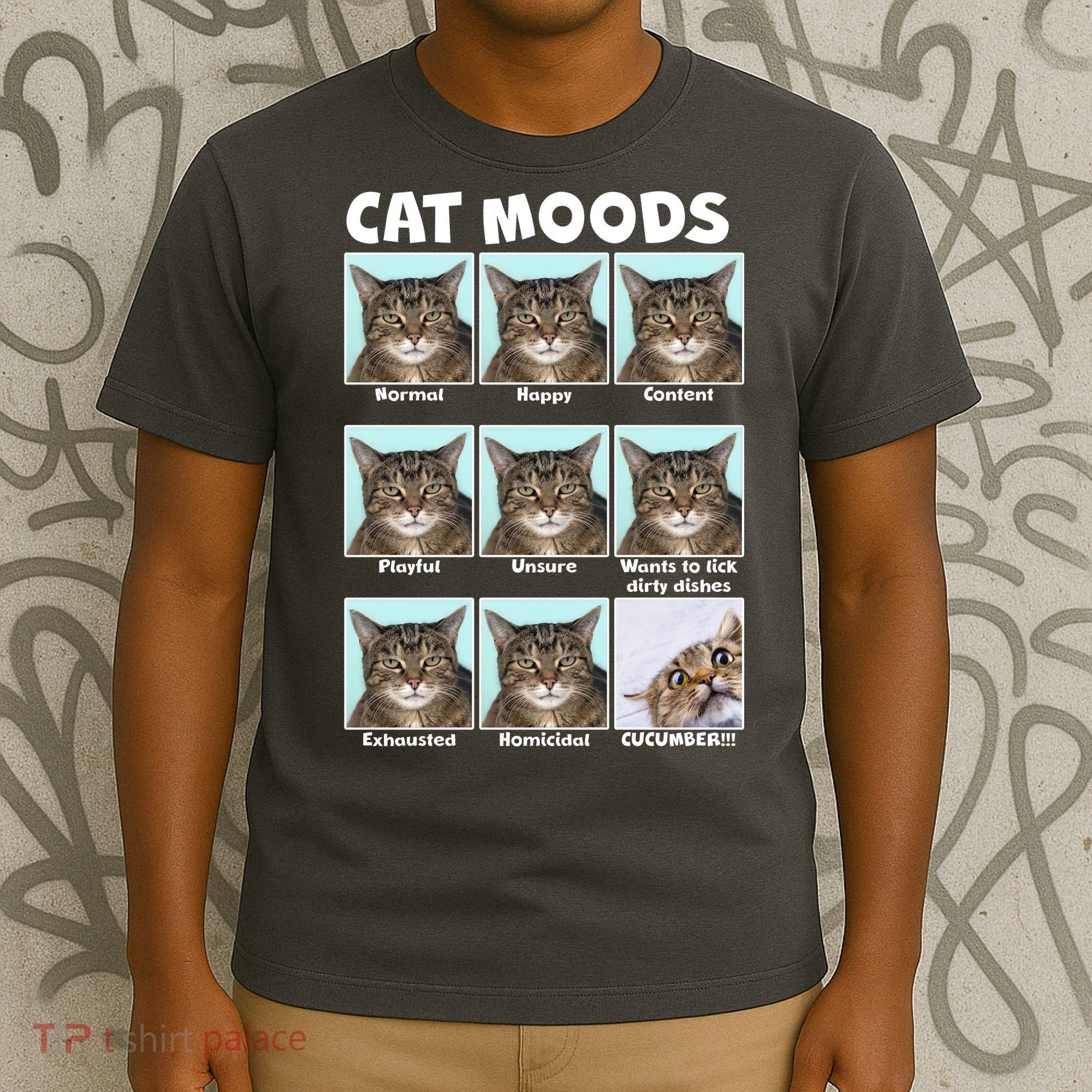 Cat Moods Funny Meme T-Shirt