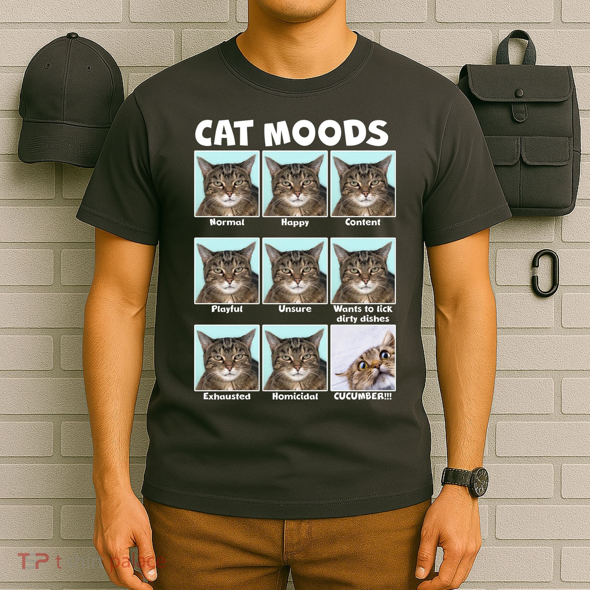 Cat Moods Funny Meme T-Shirt