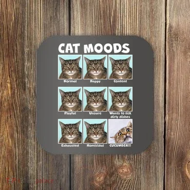 Cat Moods Funny Meme Coaster