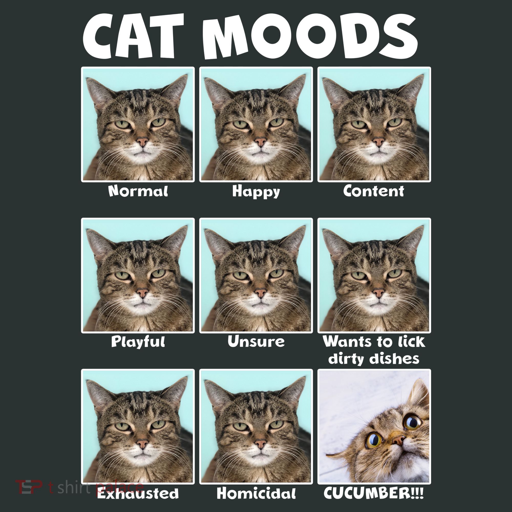 Cat Moods Funny Meme Women's T-Shirt
